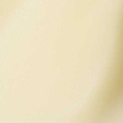 texture-baume-truffe-reparateur-chien